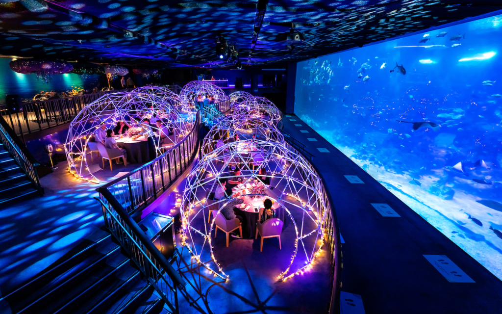 Situs Indocair: Experience Dining Like Never Before